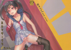 (C85) [Seki Sabato (Tsukuru)] Nekama CirCra ♂chan