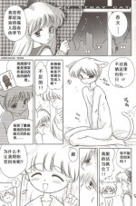 [BLACK DOG (Kuroinu Juu)] Stray Cat (Bishoujo Senshi Sailor Moon) [Chinese]