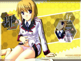 (SHT2012 Haru) [Kairaku Shuudan (Katou Kakashi)] if ~Aiefu~ Sono 1 (IS <Infinite Stratos>)