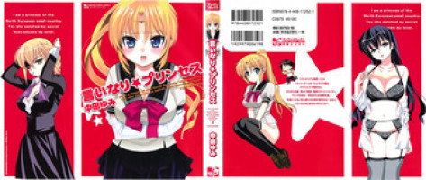 [Nakata Yumi] Iinari Princess [Chinese]