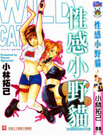 [Kobayashi Takumi] Wild Cats | 性感小野貓 [Chinese] [Incomplete]