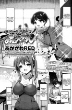 [Akazawa RED] Onee-chan (Girls forM Vol. 11) [English] [cdragron]