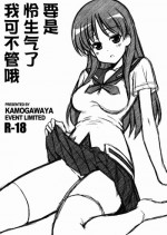 (Rinshan Kaihou! 9) [Kamogawaya (Kamogawa Tanuki)] Toki ni Okoraretemo Shirahende (Saki) [Chinese] [surely个人汉化]