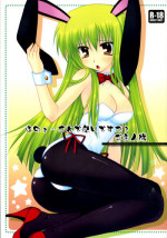 (C74) [PINK (Araiguma)] Anou... korede ii desu ka? Goshujin-sama | Hm... Is it alright, Master? (Code Geass: Lelouch of the Rebellion) [English]