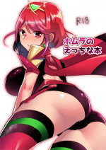 [油井] Fuyu Comi no Muhai Sukebe Homu (Xenoblade Chronicles 2) [Digital]
