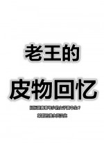 Skin recollection（潜水员汉化）