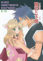 (C70) [SAKURAEN (Suzume, Okada Reimi)] Himegimi to Inu (Bleach)