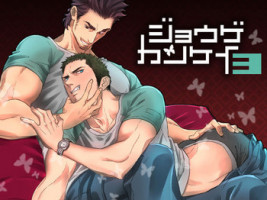[Unknown (UNKNOWN)] Jouge Kankei 3
