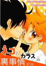 (C86) [Piyotama (Ayana Rio)] Neko to Karasu no Ura Jijou (Haikyu!!)