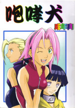 (C59) [Karakishi Youhei-dan Shinga (Various)] Houkouken (Naruto)