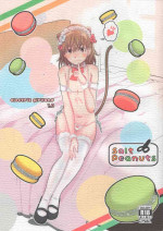 (C97) [Salt Peanuts (Niea)] Electric Girlland 1.0 (Toaru Kagaku no Railgun) [Chinese]
