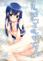 (COMIC1☆5) [Arcana Club (Arcana Mi)] Mienakutemo Kowakunai desu yo! (Fairy Tail)