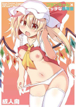 [Divine Fountain (Koizumi Hitsuji)] Flan-chan x Ecchi na Doubutsurei (Touhou Project) [Digital]