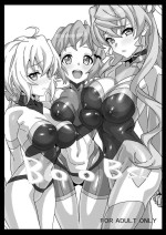 [Inai Uchi ni (Inai)] BOOBS. (Senki Zesshou Symphogear) [Digital]