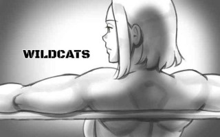 [pink-noise (Mizuiro Megane)] WILDCATS ~ Futanari Chika Battle [English] [Harasho Project]