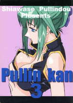 (C61) [Siawase-Pullin Dou (Arai Kei, EXP, Nin 6)] Pullin-kan 3 (Shaman King)