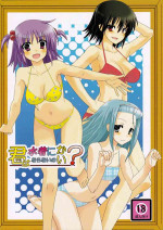 (COMIC1☆3) [Many Menu (Kondate)] Kimi wa Mizugi ni Naranai no kai? (Hayate No Gotoku!)