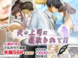 [Gin Penguin] Otto no Joushi ni Netorarete!![不愿透露XP的绅士]