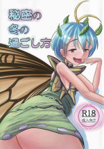 [Tokoyotou (Akiaki)] Himitsu no Fuyu no Sugoshikata (Touhou Project)