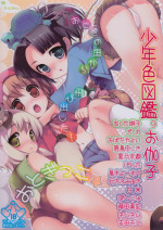 (C75) [Rorororomo (Various)] Shounen Iro Zukan 9 ~Otogikko~