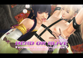 CHOBIxPHO – DOA NYOTENGU’S HAREM COLLECTION 2