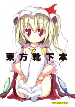 (Reitaisai 5) [Usotsukiya (Oouso)] Touhou Kutsushita Bon (Touhou Project)