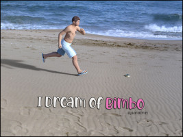 I Dream of Bimbo- Kara Comet