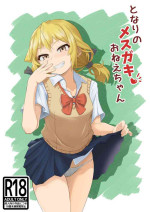 [Aibaraya (LEMI) ] Tonari no Mesugagi Onee-chan [Digital]