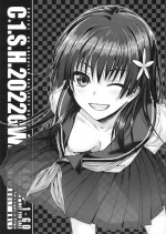 (COMIC1☆20) [40010 1-GO (Shimanto Shisakugata)] C☆1.S.H.2022GW. (Toaru Kagaku no Railgun)