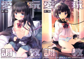 (C101) [D.N.A.Lab., CHRONOLOG (Miyasu Risa, Sakurazawa Izumi)] Aigan Choukyou