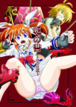[aka dama tenpo] beni no sho (Mahou Shoujo Lyrical Nanoha)
