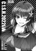 (COMIC1☆20) [40010 1-GO (Shimanto Shisakugata)] C☆1.S.H.2022GW. (Toaru Kagaku no Railgun) [Chinese] [无毒汉化组]