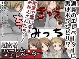 [excess m (zzinzinz)] Chou Micchaku! Harem Elevator | Close Quarters! Harem Elevator [English] [Solid Rose]