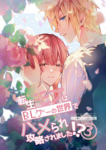 [Niwanihaniwa (Oova Akiru)]Tensei mobu wa BL gē no sekai de hame rare kōryaku sa remashita! ?3