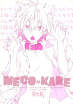 (Kimi to no Rendan 4) [Mecoro (meco)] NECOKARE (Neon Genesis Evangelion)