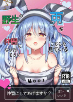 [Hachinoko P (hatigo)] Yasei no Usagi ga Nakama ni Naritasou ni Kochira o Miteiru | Wild Rabbit Is Looking At You As If It Wants To Be Friends (Usada Pekora) [English] [Lidl Translations] [Digital]