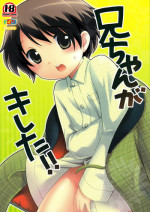 (C71) [Tokuda (Ueda Yuu)] Niichan ga Kireta!!