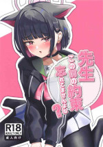 (Sensei no Archive 12) [Kaminariniku Distillery (Kaminariniku)] Sensei, Kono Mae no Yakusoku Wasuretemasen yo ne? (Blue Archive)