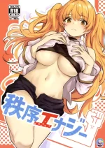 (C103) [Ikkizuka (Kizuka Kazuki)] Chitsujo Energy | 秩序能量 (Granblue Fantasy) [Chinese] [缬丝个人汉化]