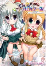 (C88) [STUDIO HUAN (Raidon)] ViviEin★HaRD Full Color Ban Platinum (Mahou Shoujo Lyrical Nanoha)【Polaris个人汉化】