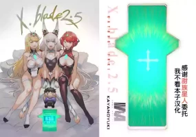 [VEGAS PROJECT (kayanoyuki)] X.BLADE 2.5 (Xenoblade Chronicles 2) [Chinese] [甜族星人x我不看本子汉化] [Digital]