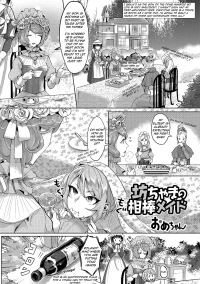 The Young Master’s Partner Maid [rewrite]