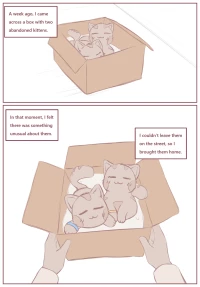 My Submissive Little Kitties