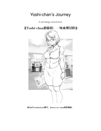 Yoshi's Journey（汉化）