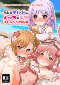 とあるギルドのえっちな事情-リトルリリカル編-