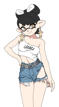 Splatoon Folder - Squid Sisters