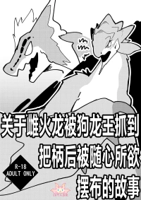 [Sltb_storage (Solturb)] Dosujagii ni Yowami Nigirarete Sukikatte Sarechau Reiachan no Ohanashi | 关于雌火龙被狗龙王抓到把柄后被随心所欲摆布的