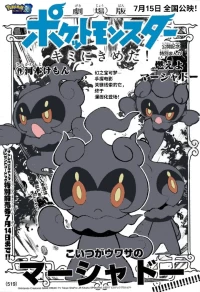 燃烧吧，玛夏多！丨Get Fired Up, Marshadow! [阿龙的个人汉化]