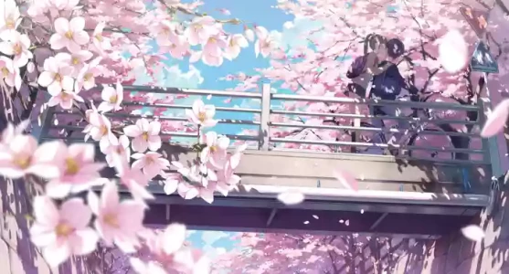 カントク2018.05-2026.03