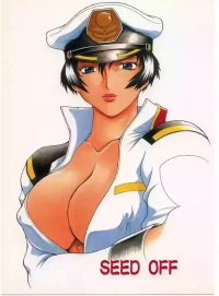 [C_R_C (Don.繁)] SEED OFF (機動戦士ガンダムSEED)（Chinese）